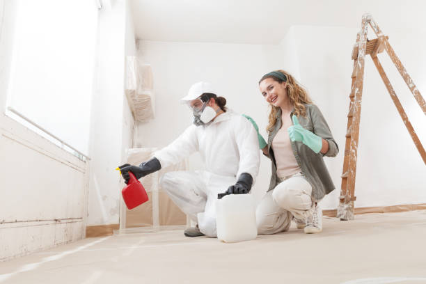 Best Emergency Mold Remediation  in Irvington, NY